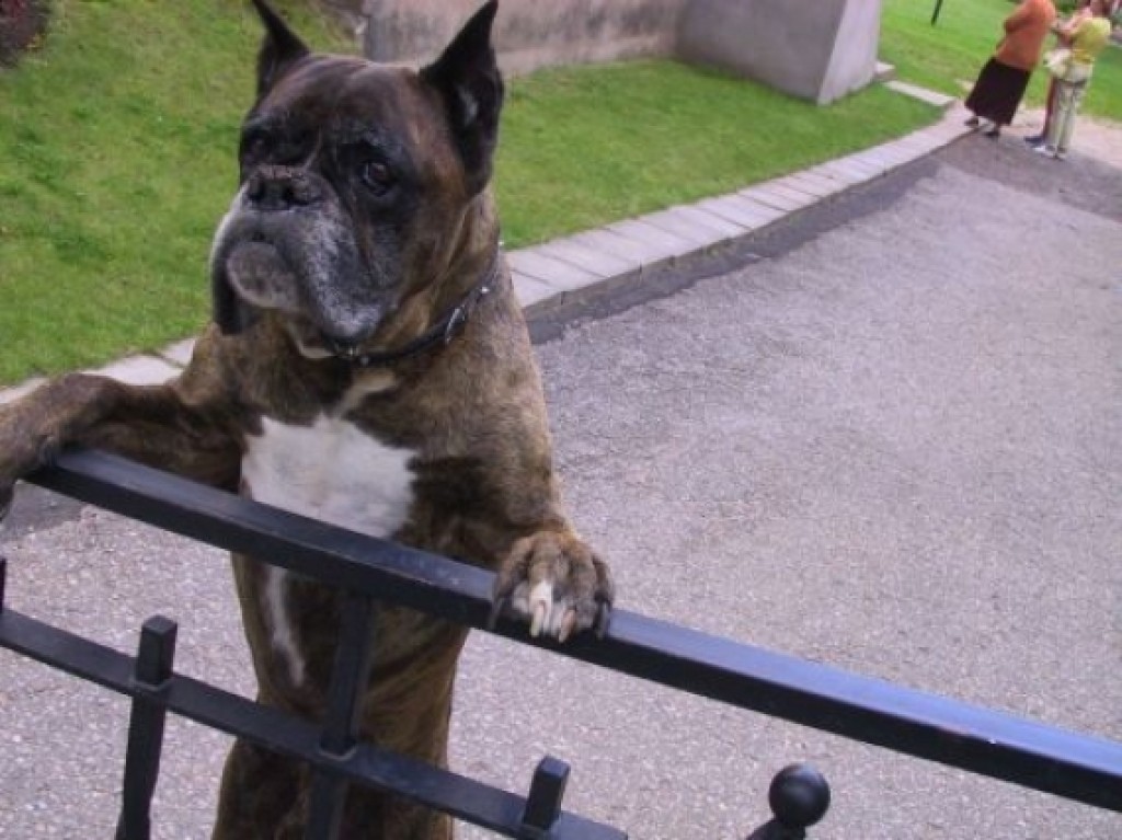 Autors: Sarmīte Ozola