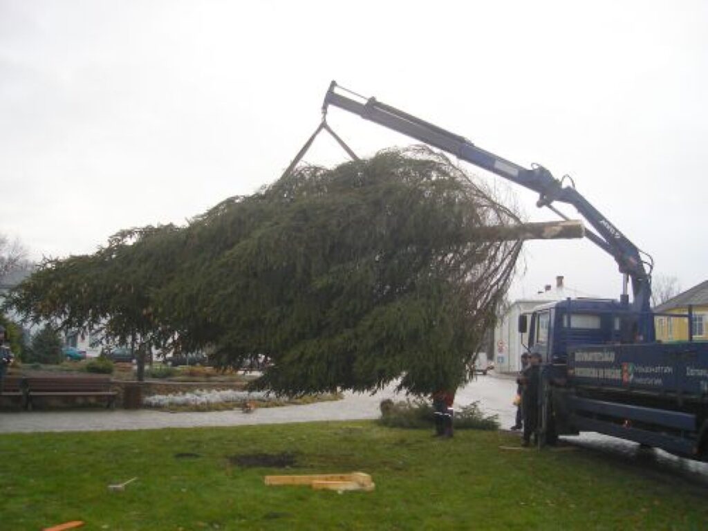 Šodien uz Smilteni atveda Ziemassvētku egli. Tās rotājumus iedegs šo svētdien ģimenēm rīkotā svētku pasākumā. 
Autors: Sandra Pētersone