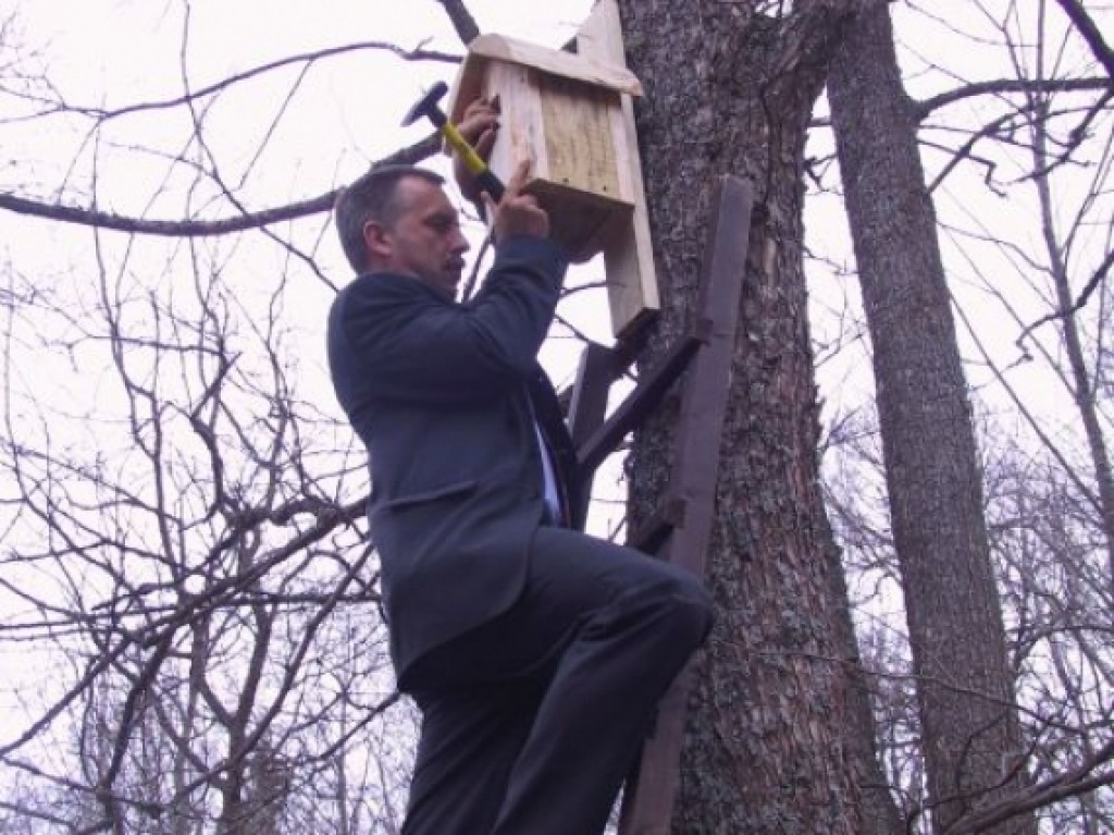 Autors: Sarmīte Ozola