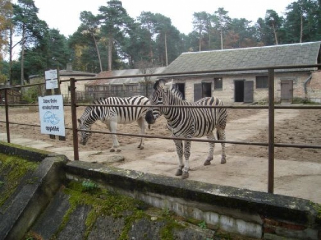 Autors: Sarmīte Ozola