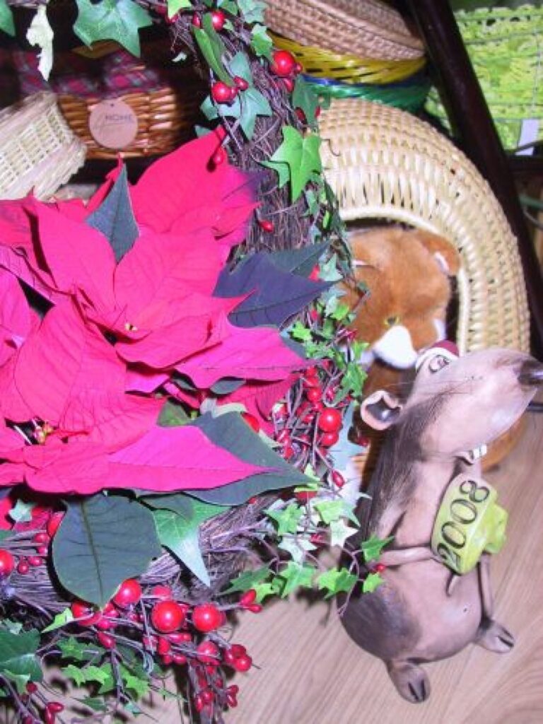 Autors: Sarmīte Ozola