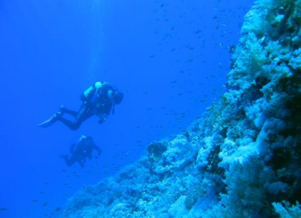 Autors: No personīgā arhīva