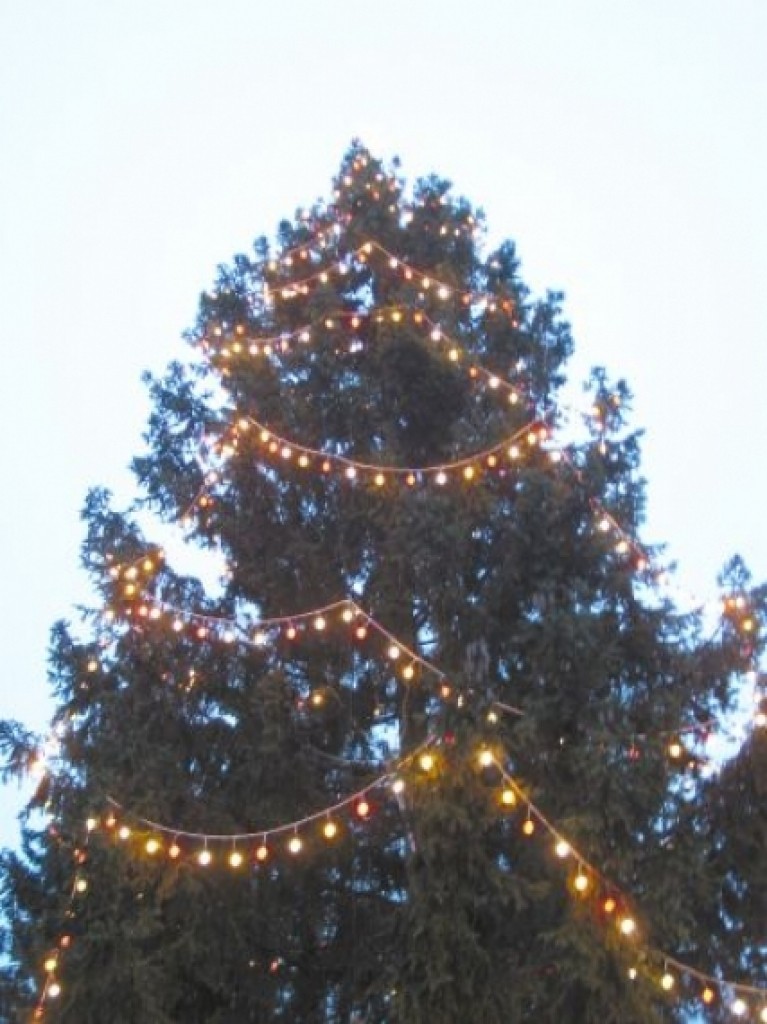 Autors: Sarmīte Ozola