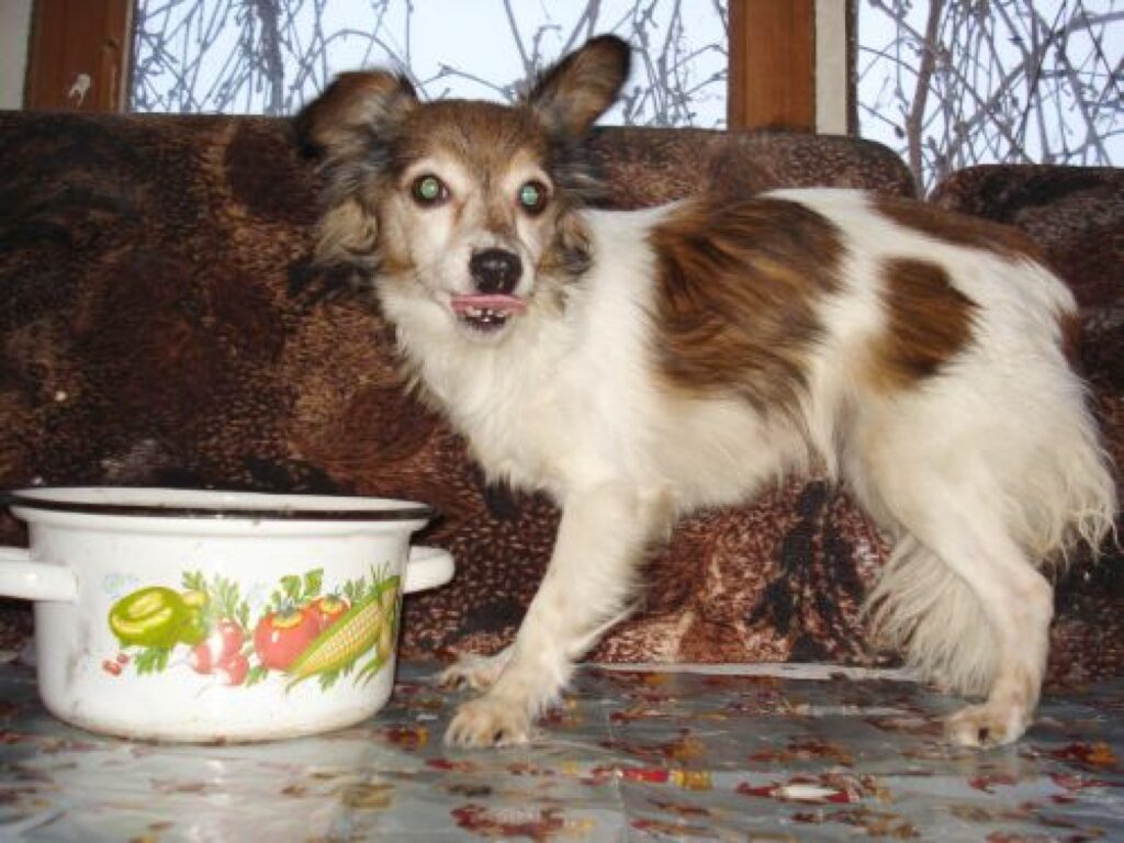 Autors: Inga Karpova