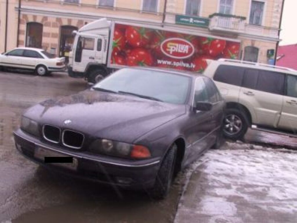 Autors: Sarmīte Ozola