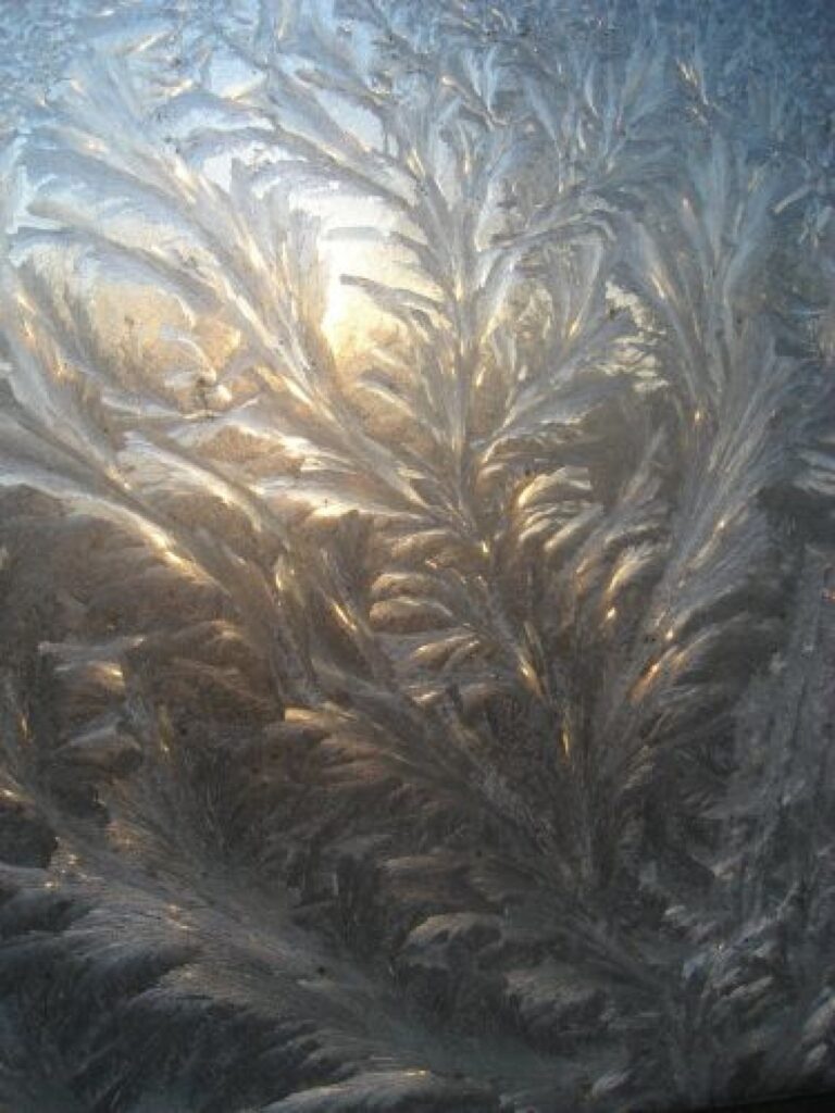 Autors: Sarmīte Ozola