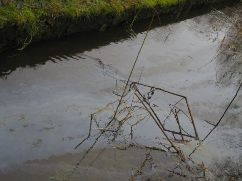 Autors: Aldis Dubļāns