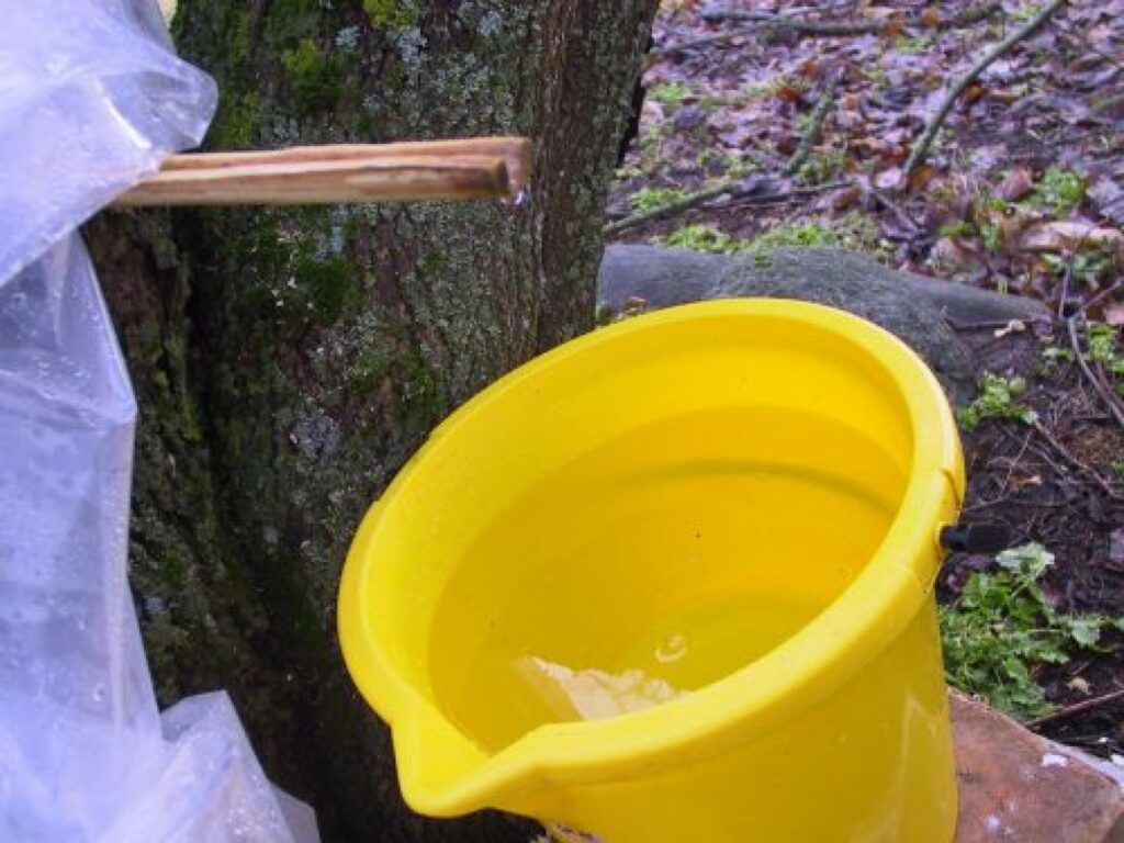 Autors: Sarmīte Ozola