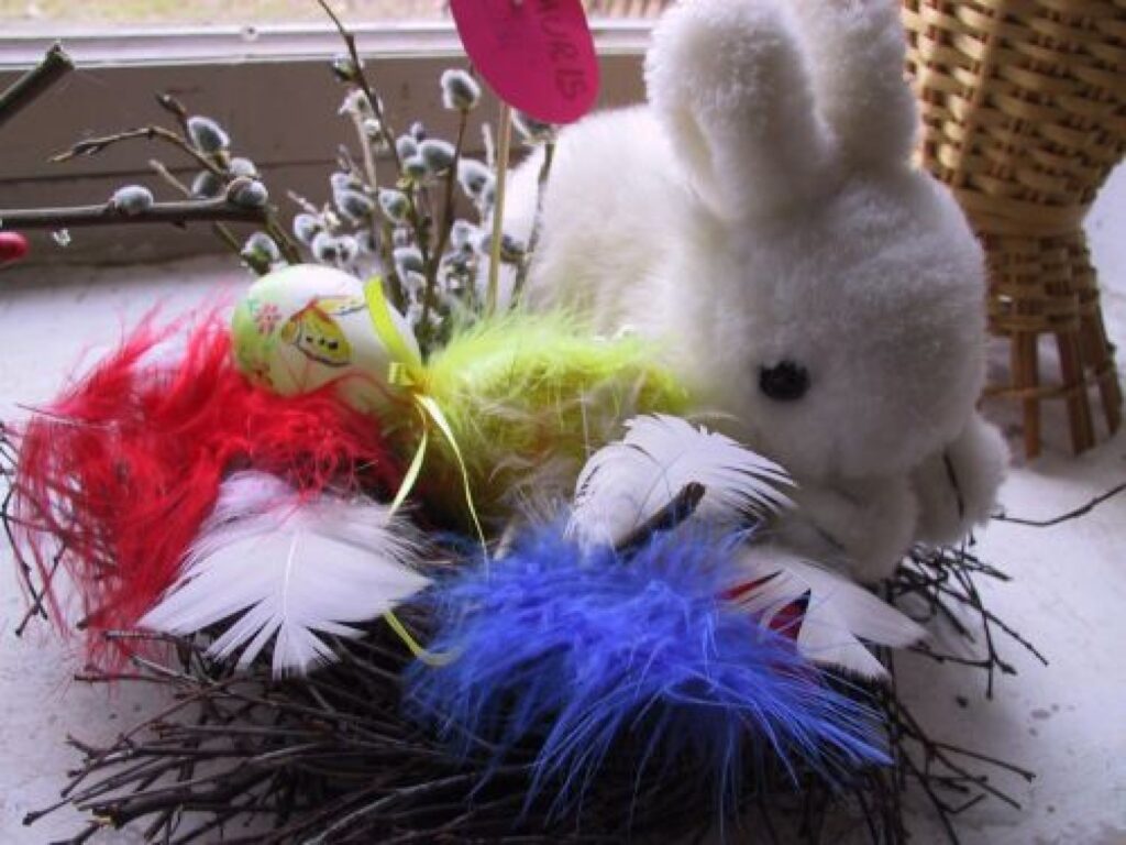 Autors: Sarmīte Ozola