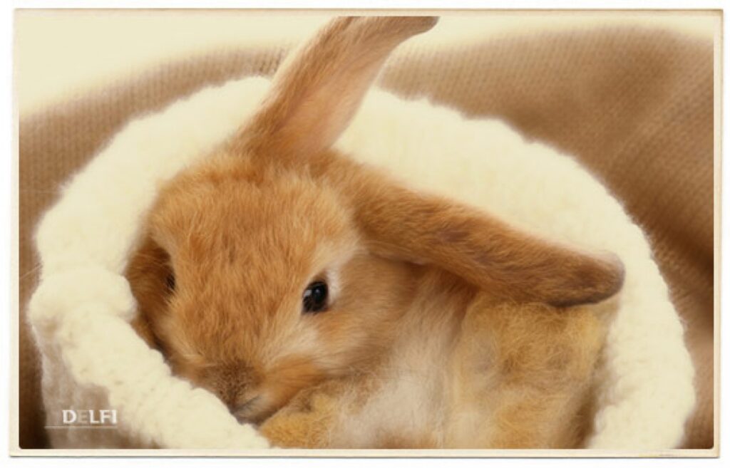 Autors: www.delfi.lv