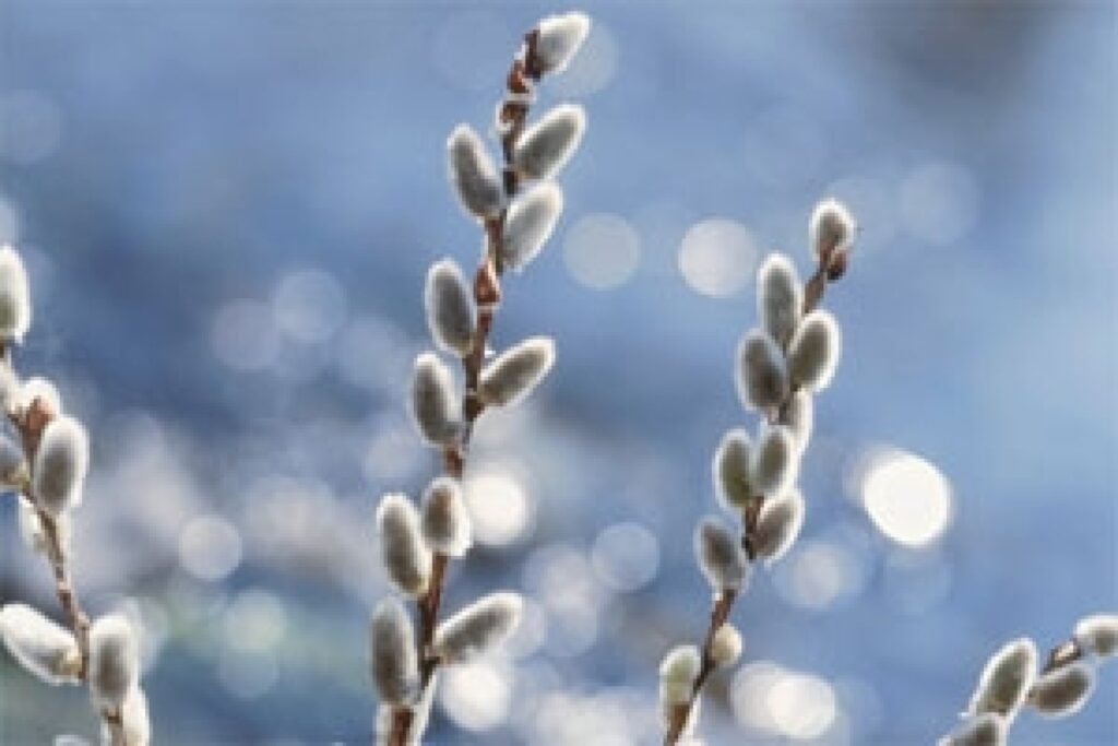 Autors: www.tvnet.lv