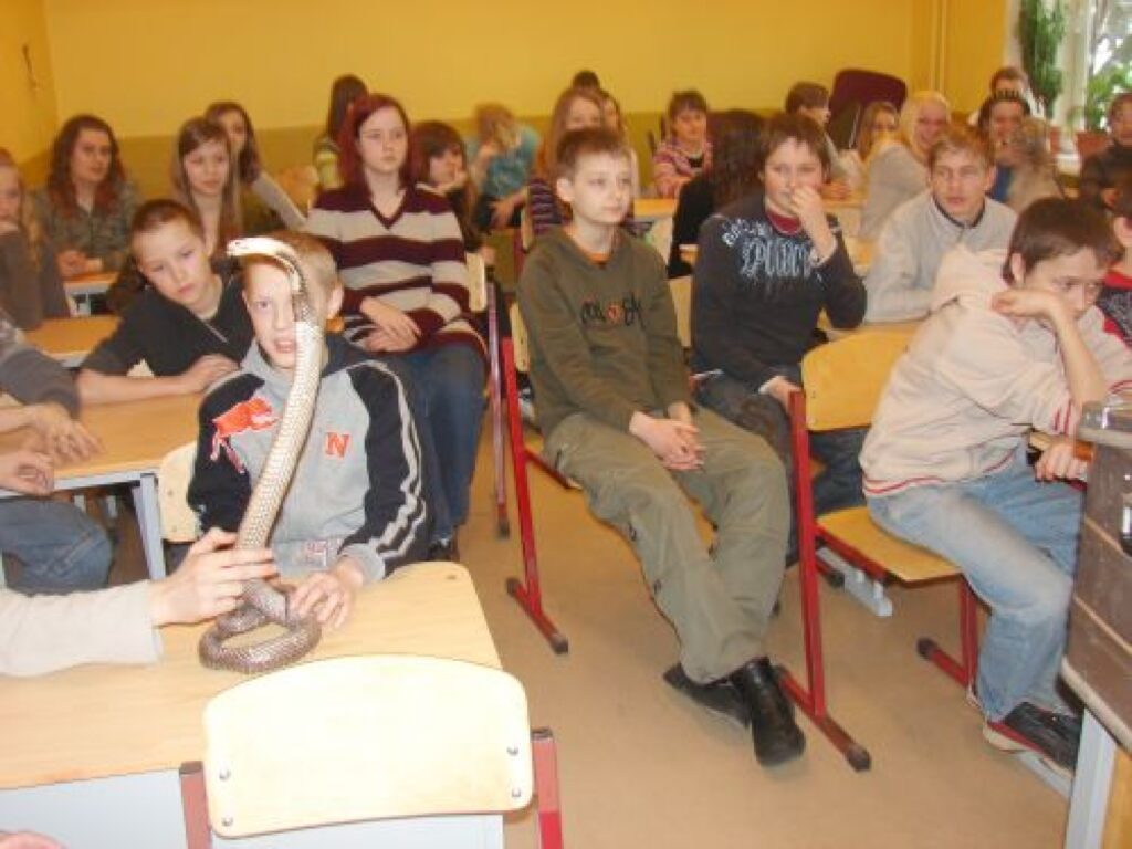  Skolēni ne tikai papildināja savas teorētiskās zināšanas, bet arī aplūkoja Dabas muzeja speciālistu līdzi atvesto kolekciju – zvērādas, sēnes, pūpēžus un putnu izbāzeņus.
Autors: Santa Sinka