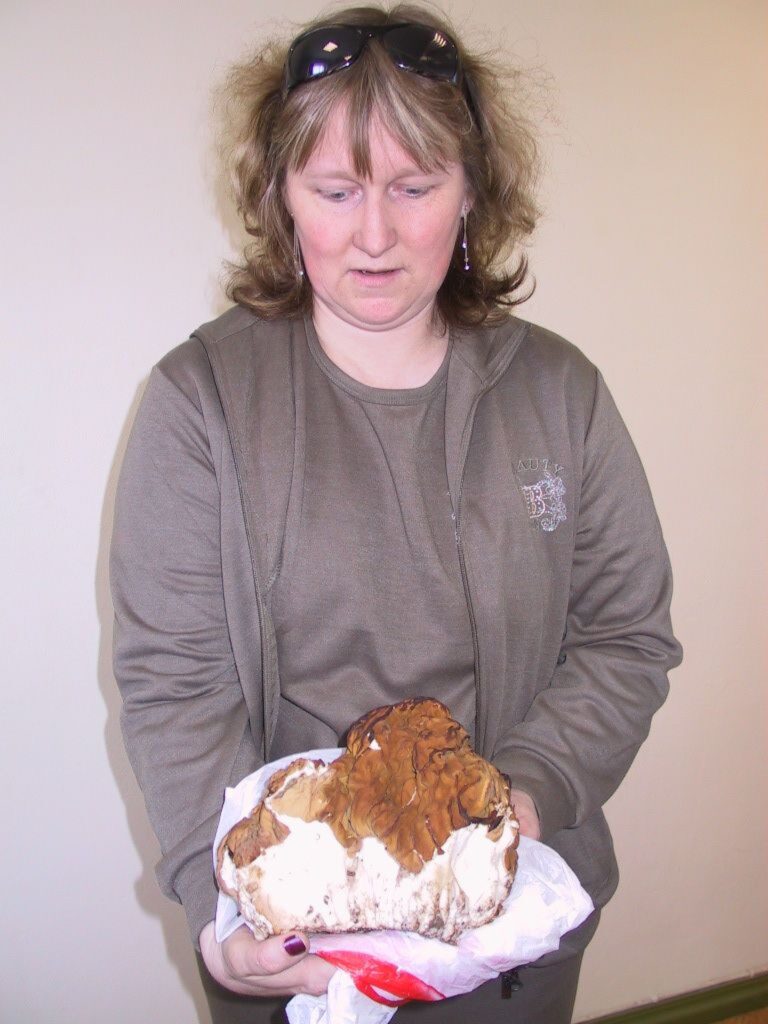 Smilteniete Sarmīte stāsta, ka neilgā laikā pielasījusi trīs maisiņus ar sēnēm, bet šī bijusi vislielākā.
Autors: Sarmīte Ozola