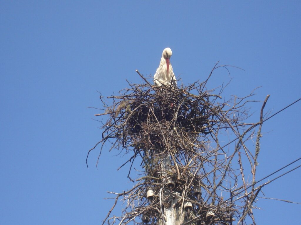 Skumji...
Autors: Sarmīte Ozola