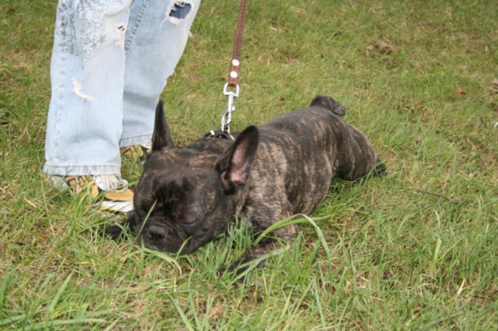 Autors: Inga Karpova