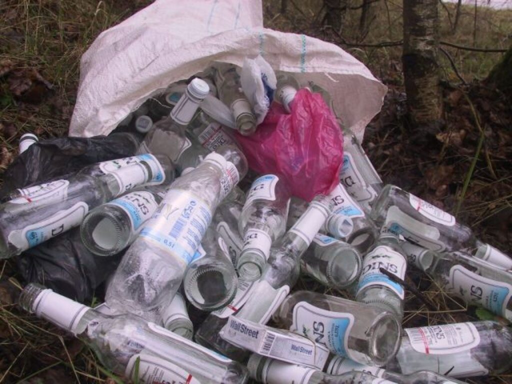 Autors: Sarmīte Ozola