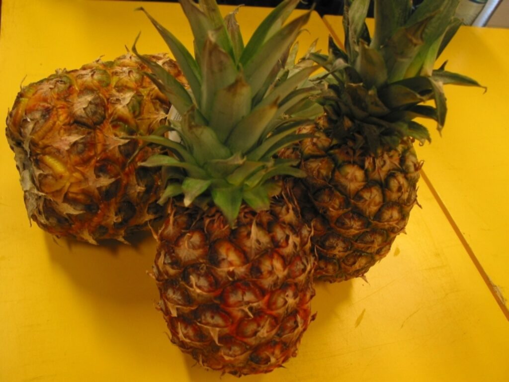 Autors: Aldis Dubļāns