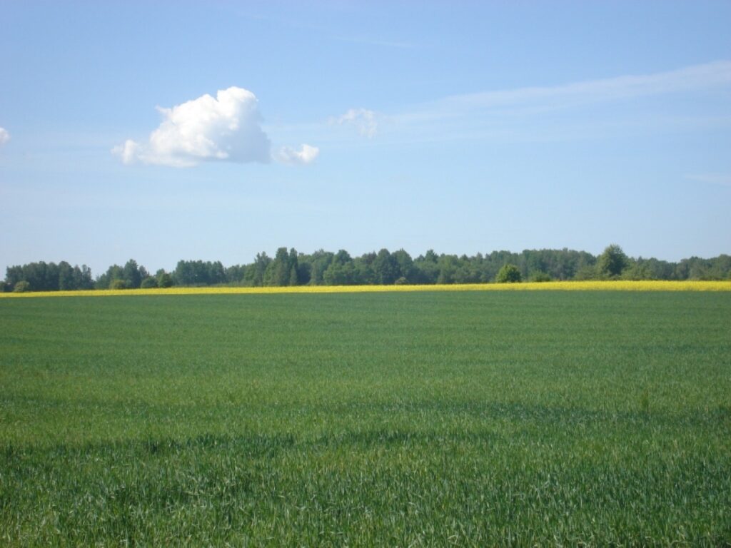 Autors: Sarmīte Ozola