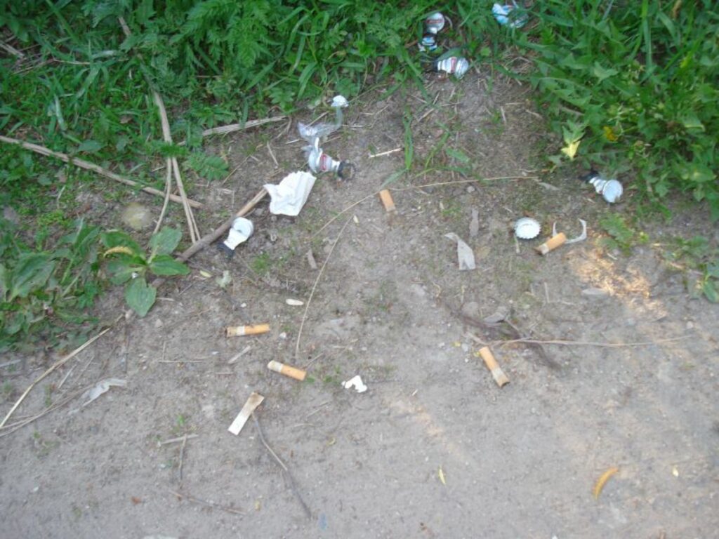 Autors: Baiba Šķērīte