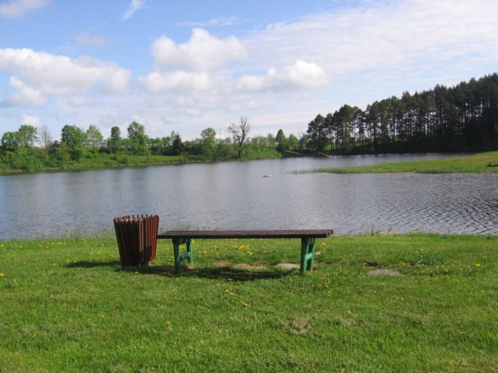 Autors: Madara Fridrihsone