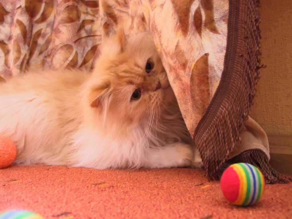 Autors: Sarmīte Ozola