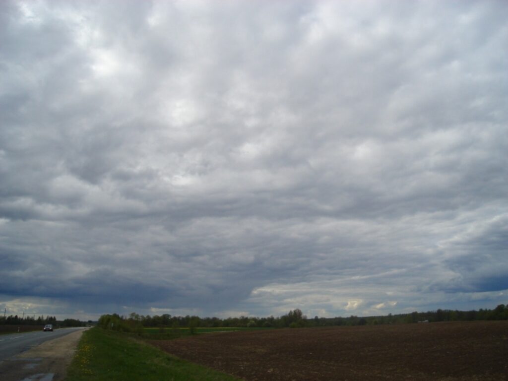 Autors: Sarmīte Ozola