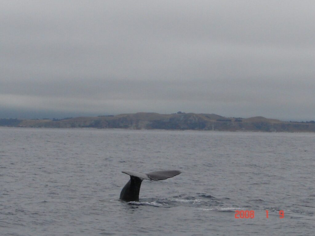 Autors: No personīgā arhīva