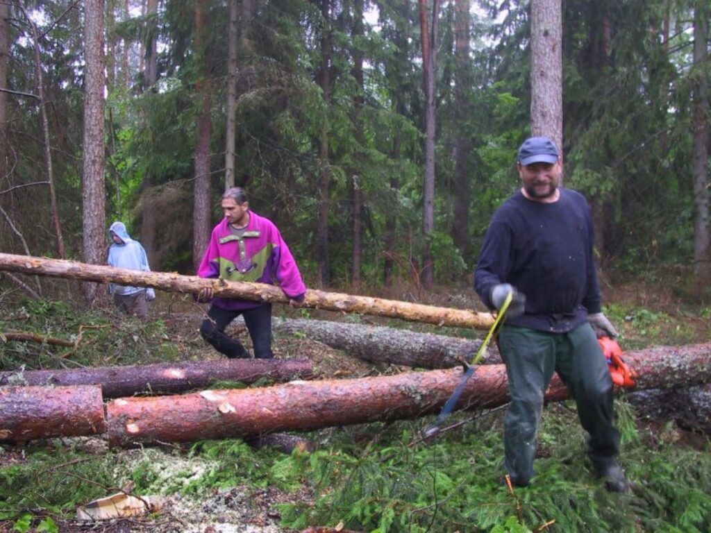 Lai Strenču pilsēta tiktu pie labiem kokmateriāliem, pašvaldība palīgā aicināja Gaujas plostniekus, arī Andri Birumu (priekšplānā).  Talcinieki nozāģēja priedes upes krastā, sasēja plostus un pludināja līdz pilsētai.
Autors: Sandra Pētersone