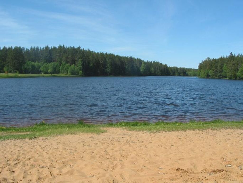 Baltās smiltis rotā ezera piekrasti, kurā sauļojas iedzīvotāji un atpūtnieki. Bērni ceļ smilšu pilis. Arī volejbolu ir iespējams uzspēlēt, tikai ir nepieciešams volejbola tīkls.
Autors: Liene Kažociņa