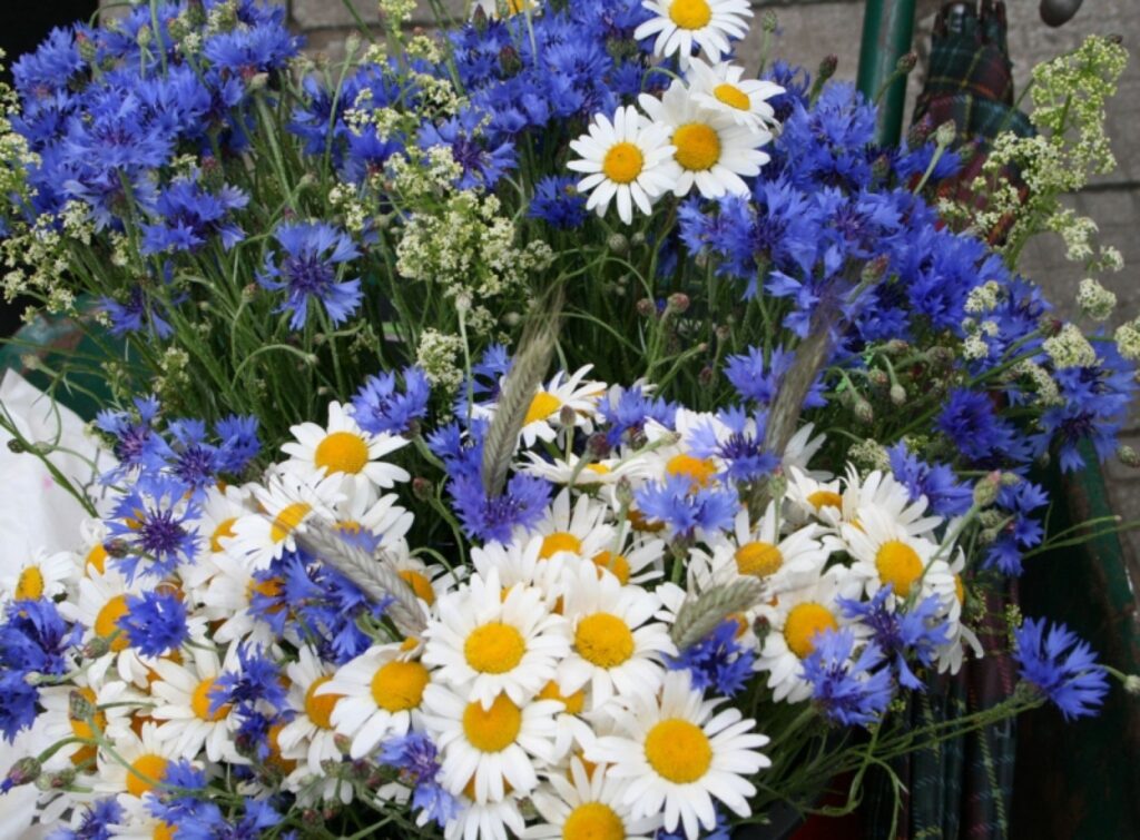 Autors: Aldis Dubļāns