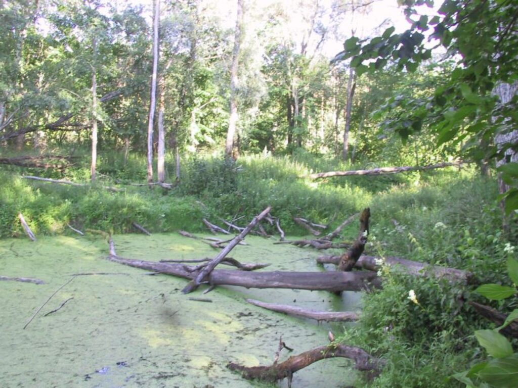 Autors: Sandra Pētersone