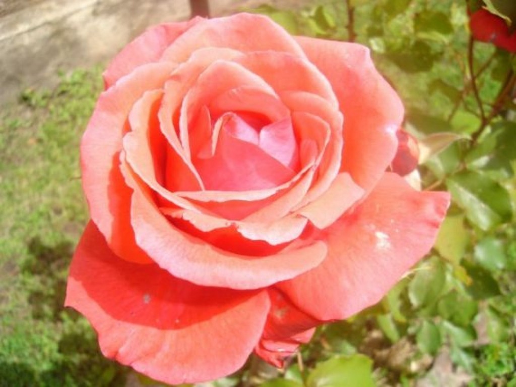 Autors: Sandra Pētersone