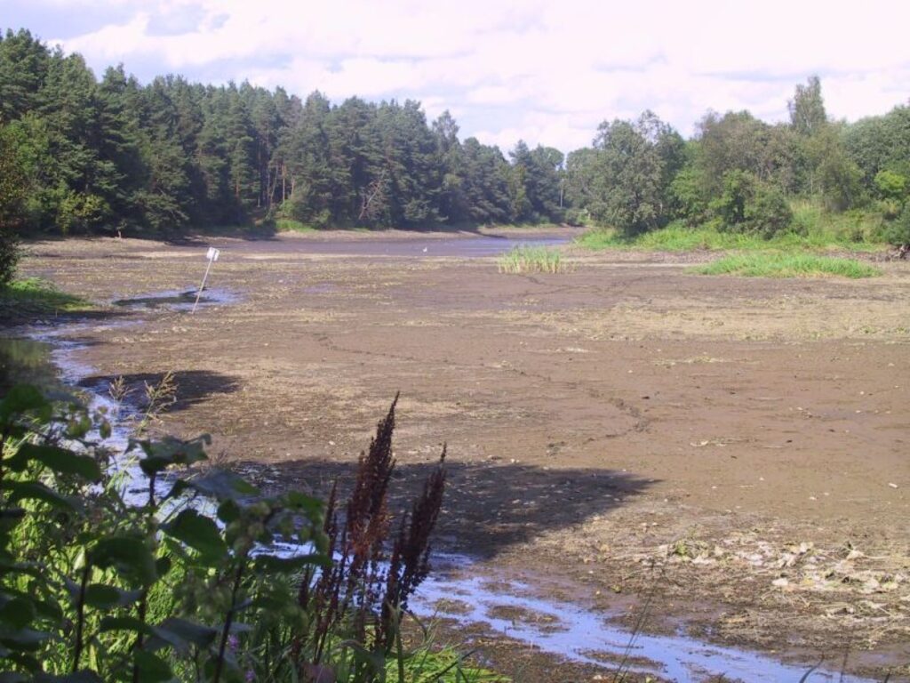 Kamēr remontē Brutuļu HES slūžas, ezerā aizliegts makšķerēt vai citādi ķert zivis.
Autors: Sandra Pētersone