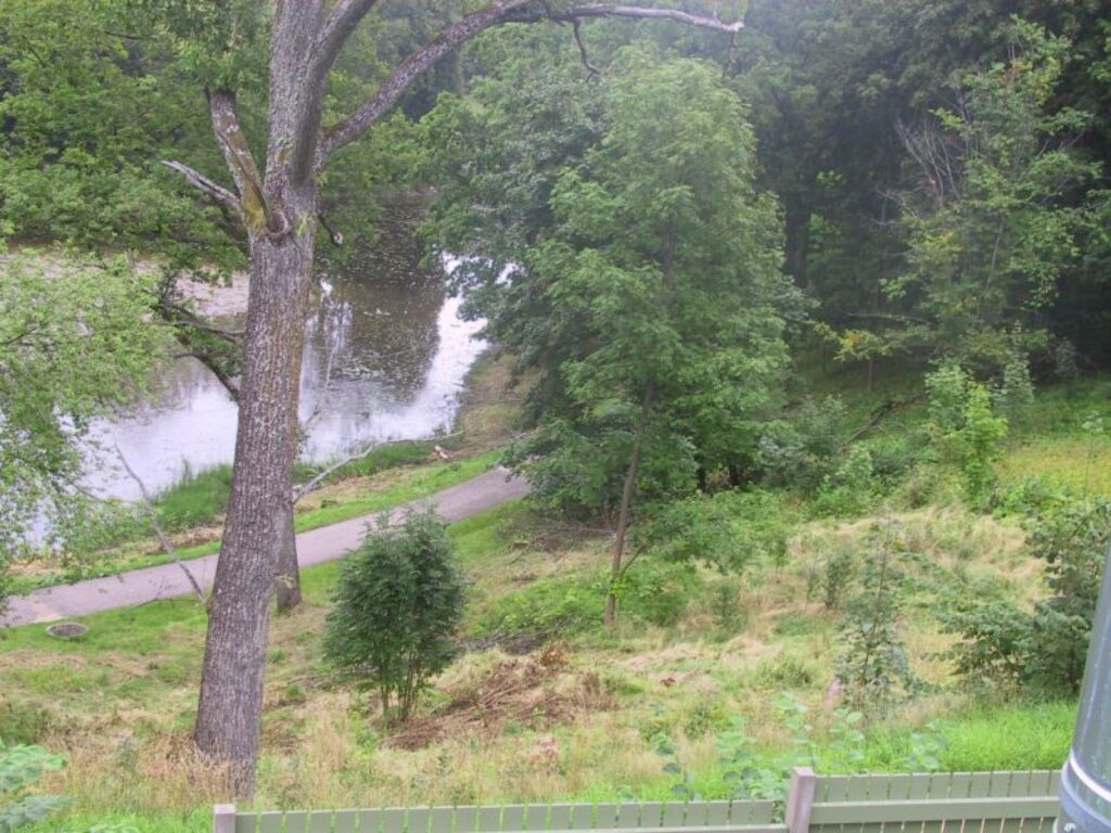 Smiltenieši rosina pilsētas deputātus izstaigāt Veco parku un pašiem novērtēt, cik ļoti to vajadzīgs sakopt.
Autors: Sandra Pētersone