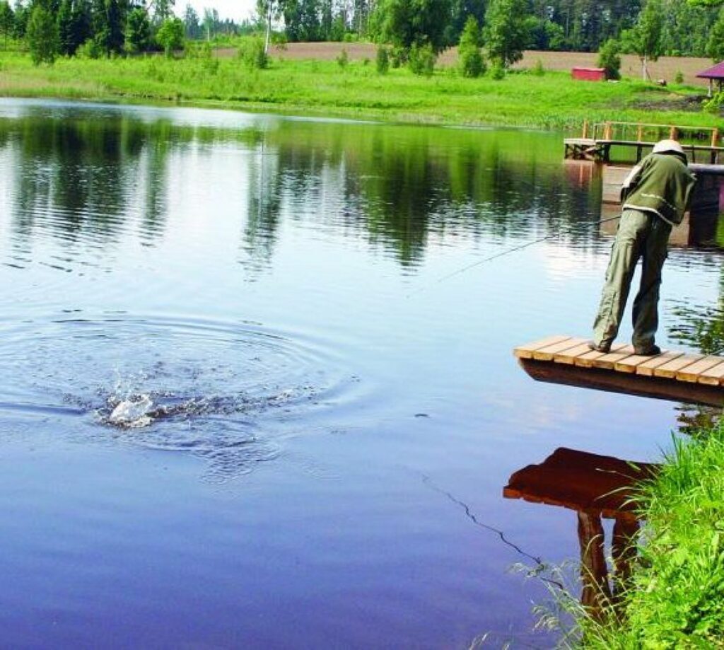 Autors: Aldis Dubļāns