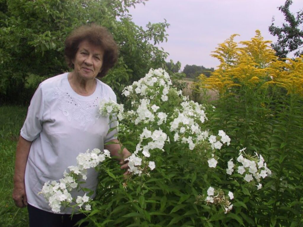Smiltenes pagasta pensionāre Ilga Alksne laimēja 1200 latus veiksmes spēlē “Zelta drudzis”. Kādu laiku viņai sanāks nauda zālēm. 
Autors: Sandra Pētersone