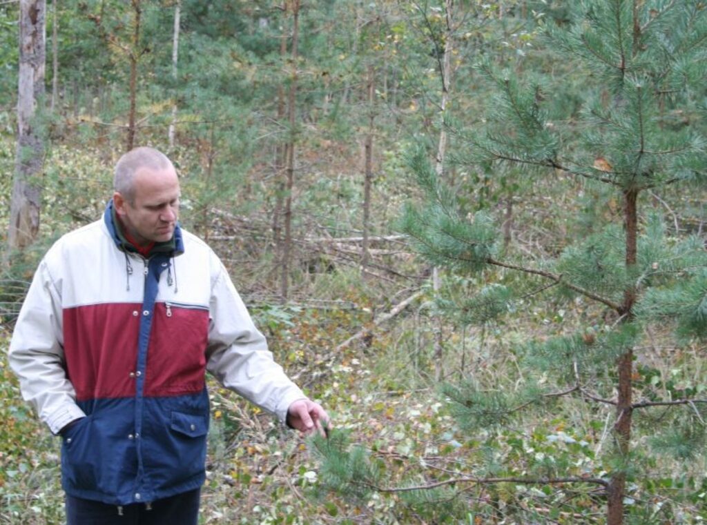 Valkas mežniecības mežzinis Jānis Jaunslavietis uzskata, ka jaunie noteikumi mežu īpašniekus stimulēs padarīt mežu vērtīgāku ar kvalitatīvām jaunaudzēm.
Autors: Aivars Zilbers