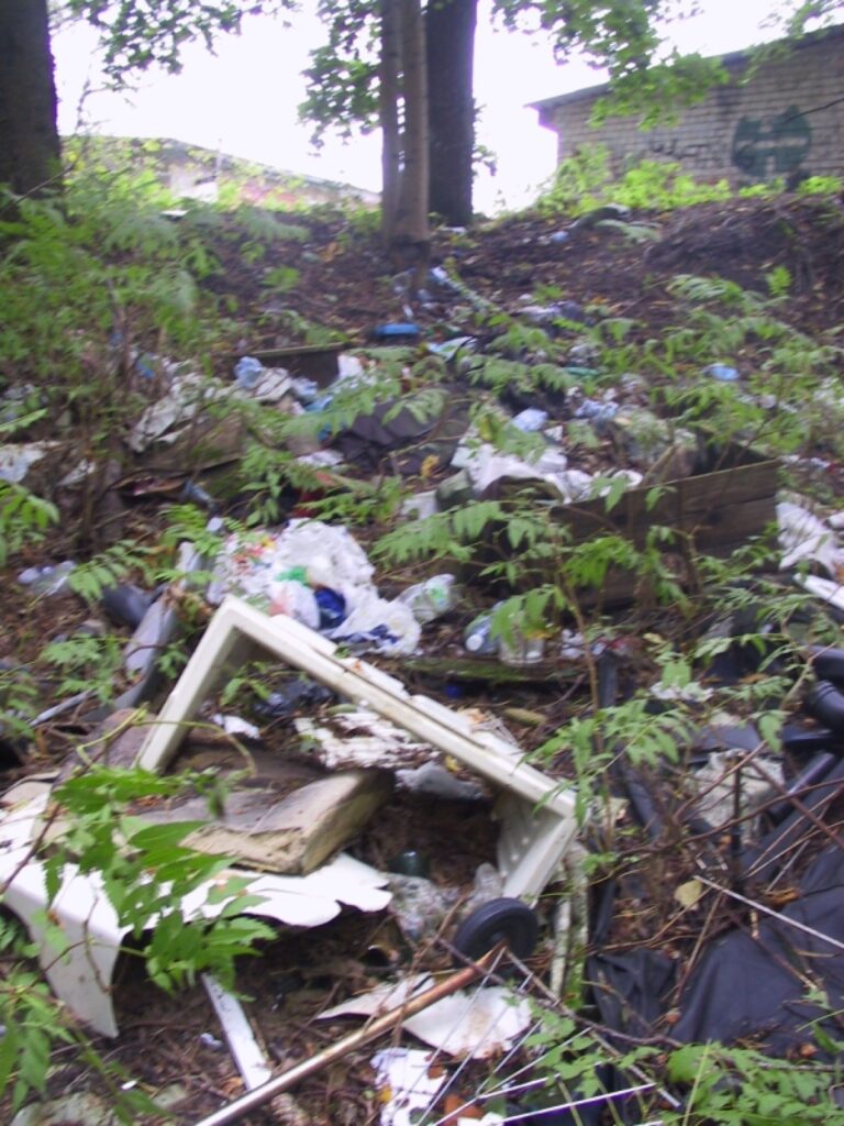 Pirms diviem gadiem šo mežu aiz garāžu kooperatīva Mežoles ielā sakopa projekta “Pēdas” talkā. Tagad nelegālā izgāztuve atkal atdzimusi, un talciniekiem atkal ir darbs, lai to likvidētu.  
Autors: Sandra Pētersone