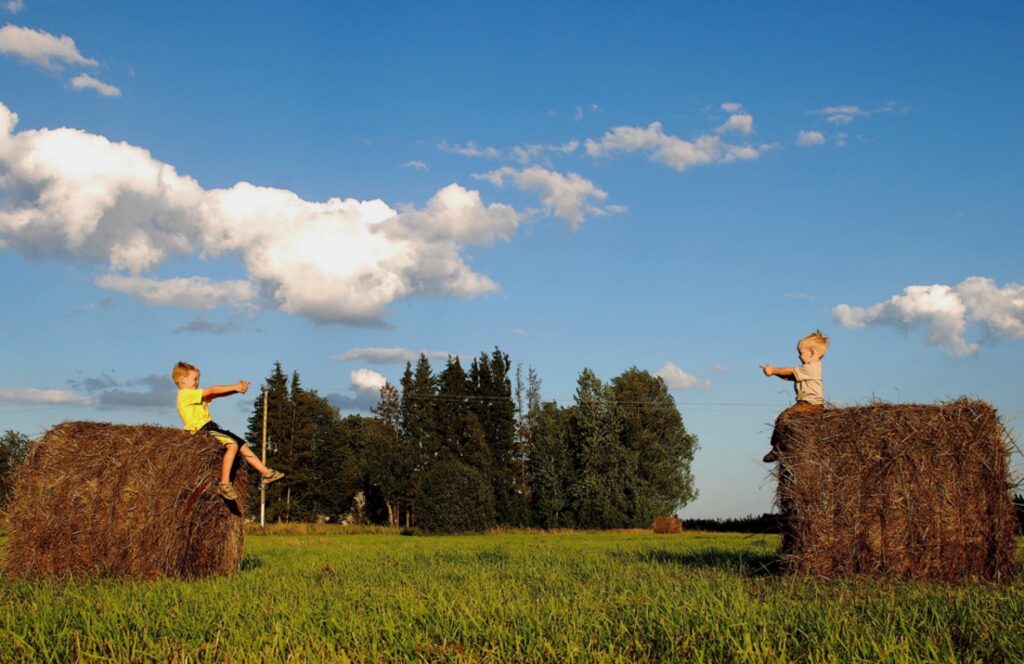 “Pif paf uz salmu ruļļiem.”
Autors: Edgars Maļcevs