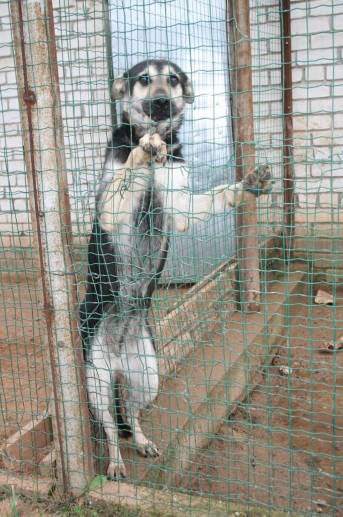 Autors: Inga Karpova