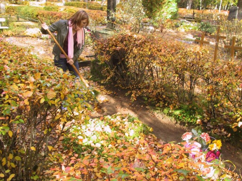 Valmieriete Indra Ozola (attēlā) kopā ar vecmāmiņu Mirdzu Meļķi jau laikus atbrauca uz Strenču kapsētu, lai sakoptu tuvinieku kapus pirms svecīšu vakara. 
Autors: Sandra Pētersone