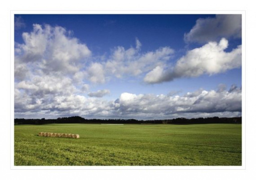 Autors: Jānis Škapars