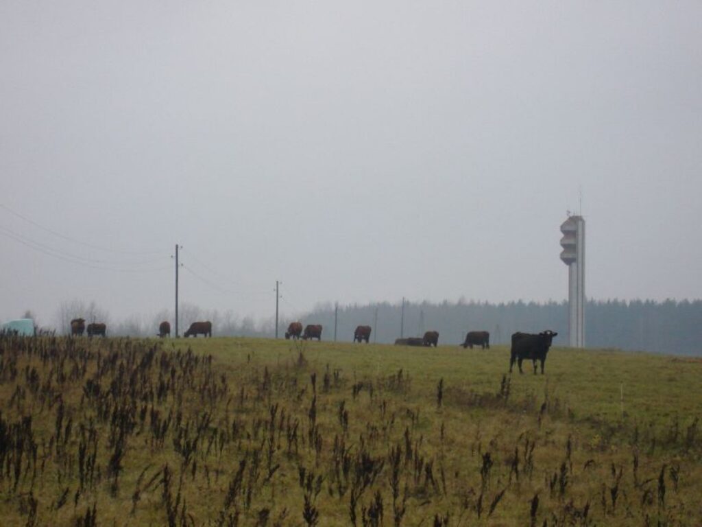 Zemniece jau daudzus gadus ik dienu rūpējas par padsmit mājlopiem. Katrs no tiem ir mīļš un īpašs.
Autors: Santa Sinka