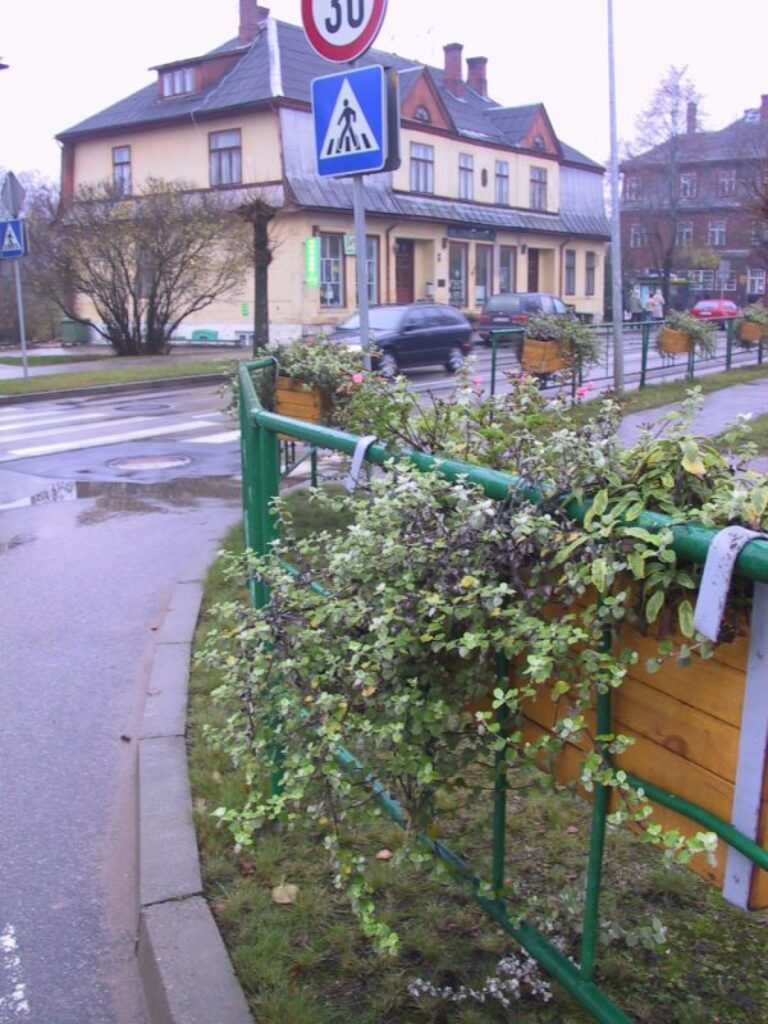 Ceļu policisti ievērojuši, ka Strenču centrā izlikto puķu kastu dēļ autovadītājiem sliktāk  kļuvis pārredzams Pulkveža Zemitāna un Rīgas ielas krustojums. 
Autors: Sandra Pētersone