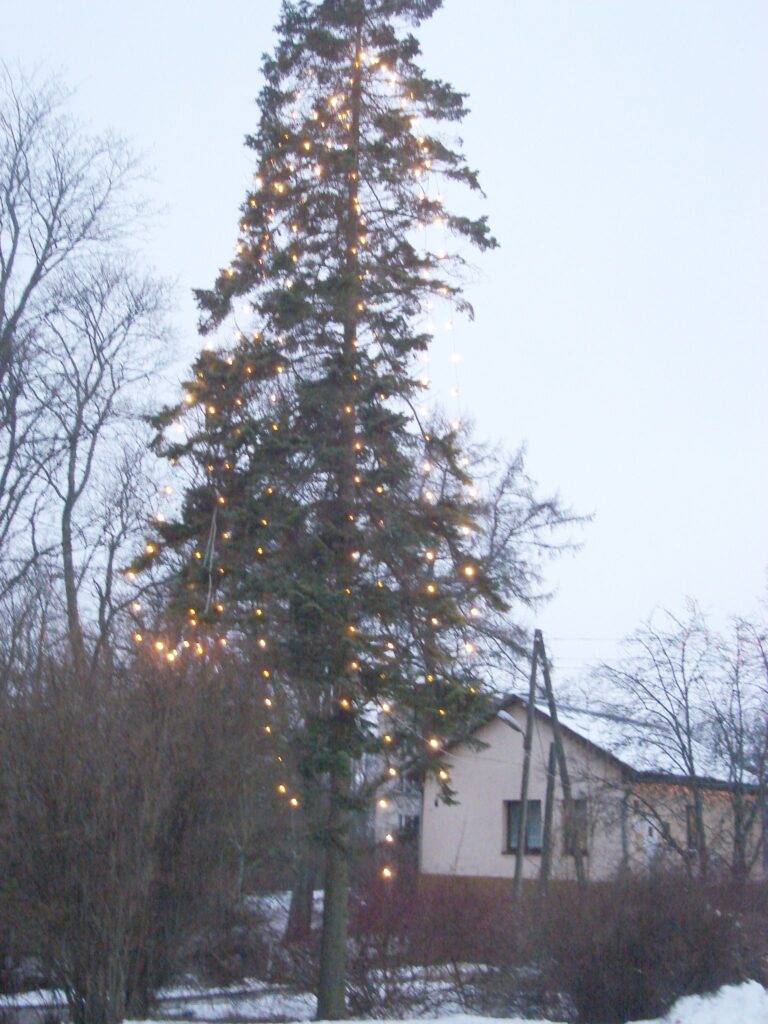 Autors: Sandra Pētersone