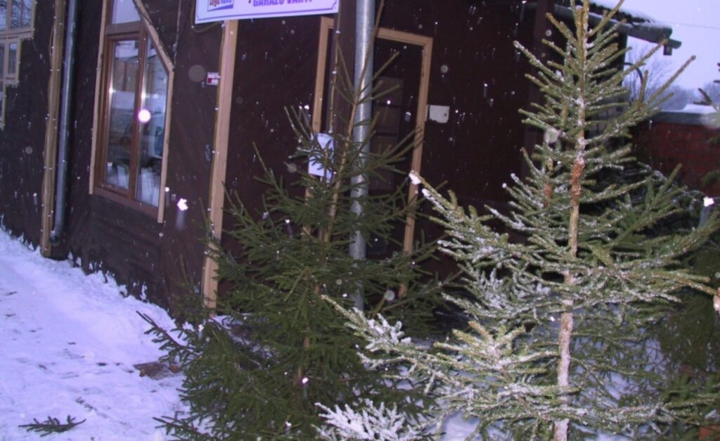 Autors: Sandra Pētersone