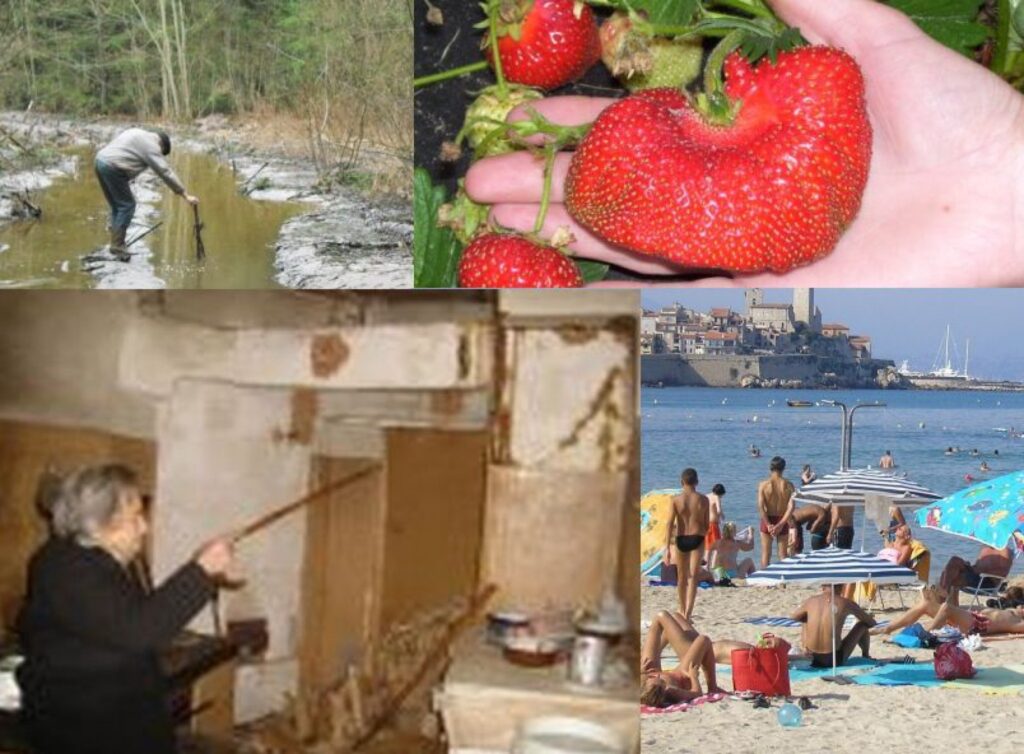 Šis gads mums jāpavada 