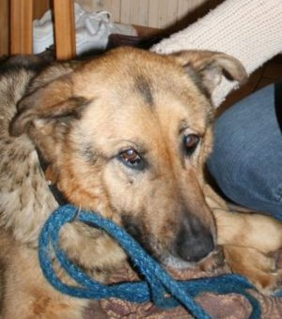 Autors: Inga Karpova