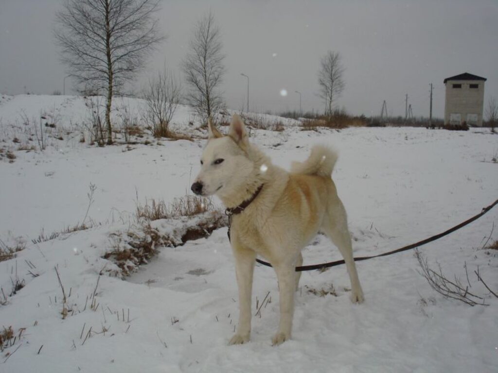 Autors: No personīgā arhīva