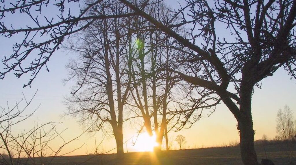 Autors: Sarmīte Ozola